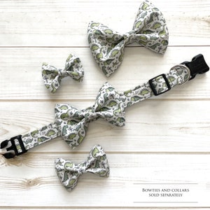 May include: Four bow ties and two collars with a dinosaur print pattern. The bow ties and collars are sold separately.  Bowties And Collars Sold Separately.