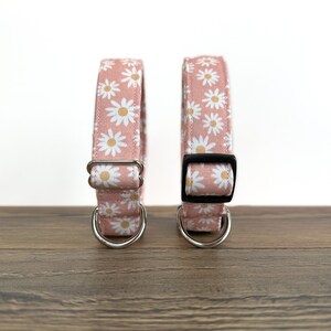 May include: Two pink dog collars with white daisy print. The collars have silver D-rings and a black buckle.