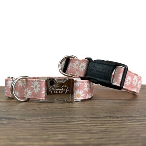 May include: Two pink dog collars with white daisy print. The collars have silver buckles with the text "Chewlunka G.E.A.R." engraved on them. One collar has a black buckle.