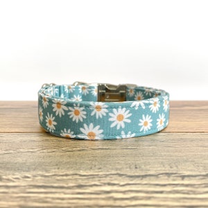 Daisy Dog Collar, Spring Dog Collar, Summer Dog Collar, Cute Dog Collar, Blue Daisy Collar, Adjustable Dog Collar, Girl Dog Collar