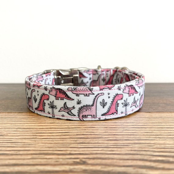 Dinosaur Dog Collar, Cute Dog Collar, Funny Dog Collar, Adjustable Dog  Collar, Boy Dog Collar, Girl Dog Collar, Puppy Collar, Dino Collar