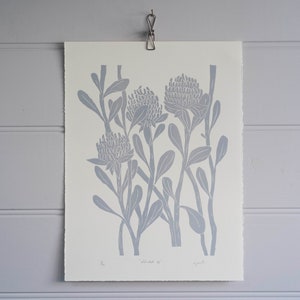 Australian Native Waratah Linocut |  Original hand carved Linocut print featuring Australia Flora