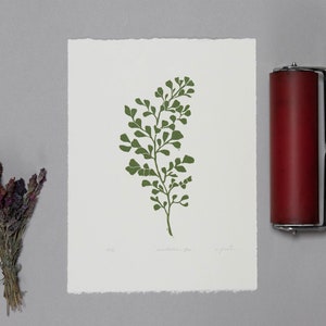 Oryginalna ręcznie rzeźbiona linorytnicza roślina Maidenhair Fern