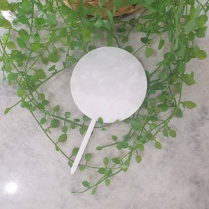 May include: White round cake topper with a stick, surrounded by green foliage.