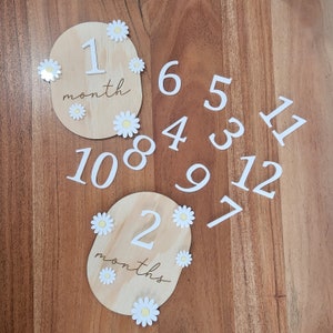 Daisy milestone plaques, Baby interchangeable milestone cards, Timber Milestone cards, Monthly Baby Milestone Plaques