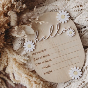 Birth Announcement Hello World Plaque, Engraved Plaque, Daisy Baby Introduction, Newborn Photo, Baby Announcement Plaque, Birth Stats Sign