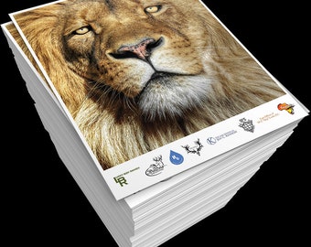 1000 Custom Full Color Copies 8.5 x 11 or 2000 5.5 x 8.5 Printed 2 Sided on 28# Paper. No Bleed