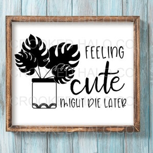 Feeling cute might die later SVG, Silhouette Cut File, Cricut Cut File, Plant Humor, Funny SVG, Plant Quote