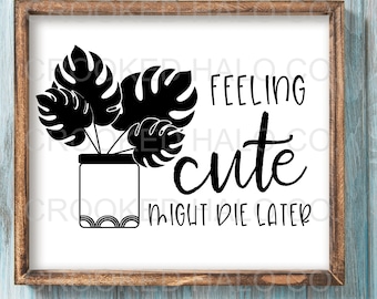 Feeling cute might die later SVG, Silhouette Cut File, Cricut Cut File, Plant Humor, Funny SVG, Plant Quote