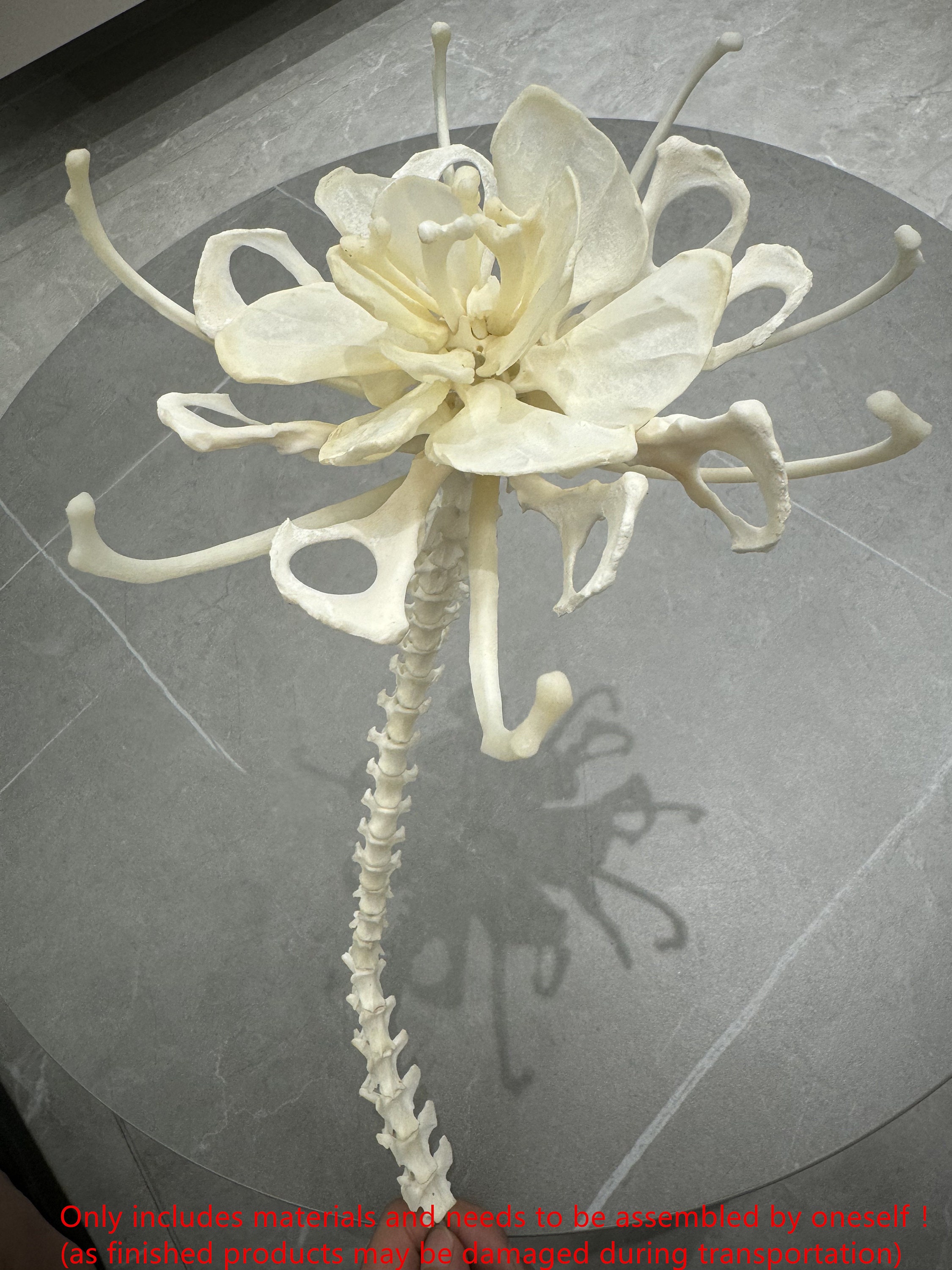 Exquisite real bone splicing assembly painting DIY specimen  Creative Devil Flowers Crafts