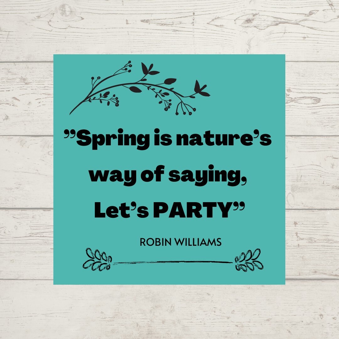 Custom Adhesive Vinyl Stencil, Text, Logos, Images, Create Your Own