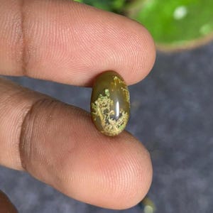 May include: An oval-shaped gemstone with a polished surface. The stone is primarily olive green with a unique pattern of light green and tan inclusions resembling a tree or plant. The gemstone is held between fingers.