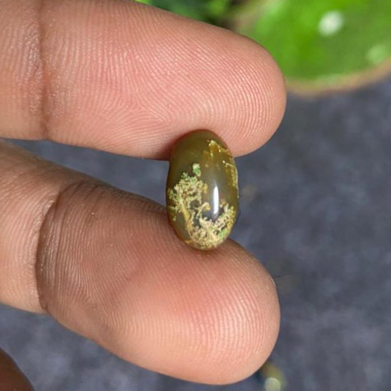 May include: An oval-shaped gemstone with a polished surface. The stone is primarily olive green with a unique pattern of light green and tan inclusions resembling a tree or plant. The gemstone is held between fingers.