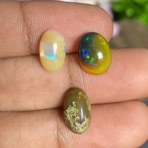 May include: Three oval-shaped opals in varying colors are displayed. The top left opal is pale yellow with iridescent flashes. The top right opal is a mix of yellow and dark green with blue and green iridescence. The bottom opal is olive green with a white pattern.