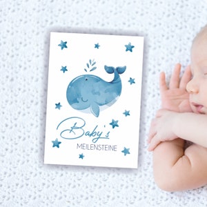 30 Meilensteinkarten Baby Junge Mädchen Wal Meilensteine