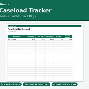 NDIS-supportkoordinator, falluppföljning | Kalkylblad för deltagarbudgettimmar | Planeringstaktsaviseringar Excel Google Sheets