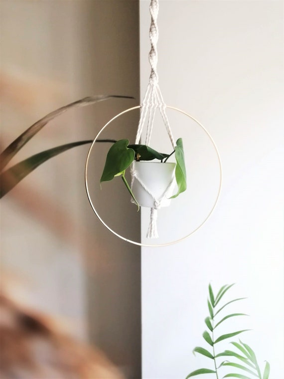 Macrame Ring Plant Hanger 2025