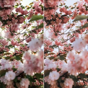 flower video editing luts