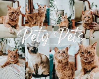 10 Pety Pets mobiele Lightroom-voorinstellingen