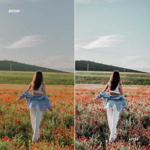 rustic video luts