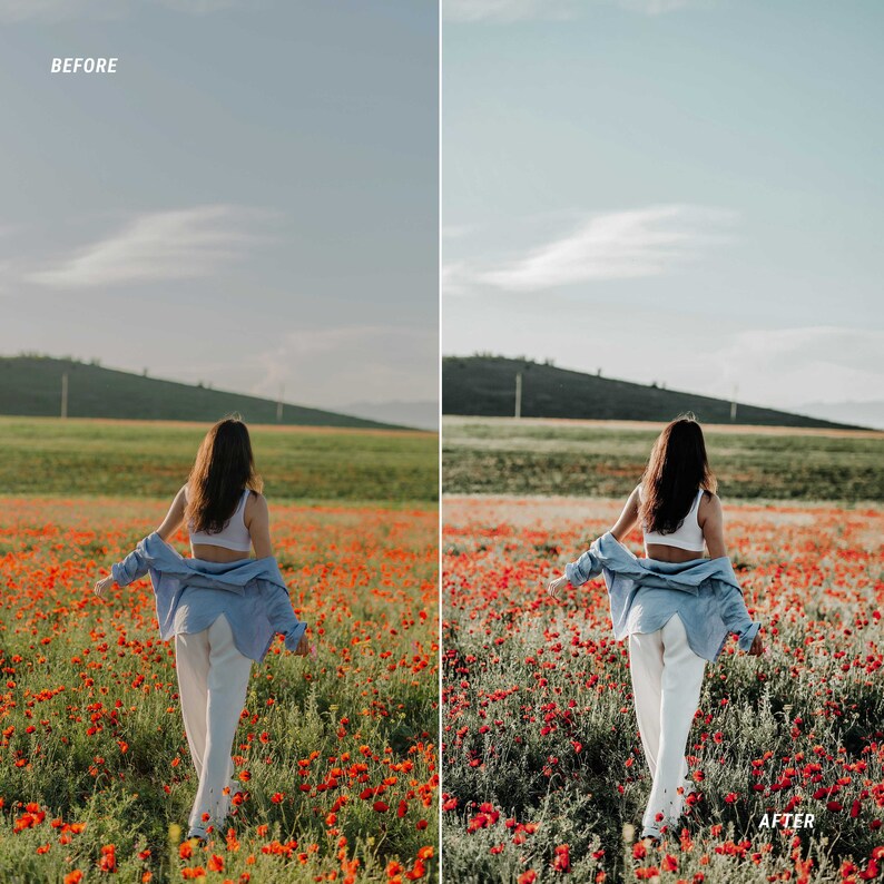 rustic video luts