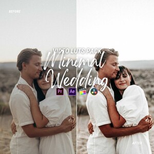 Minimal Wedding LUTs, Adobe Premiere Pro LUTs Pack, Video Editing Luts Final Cut Pro, Video Presets for DaVinci Resolve Vlog