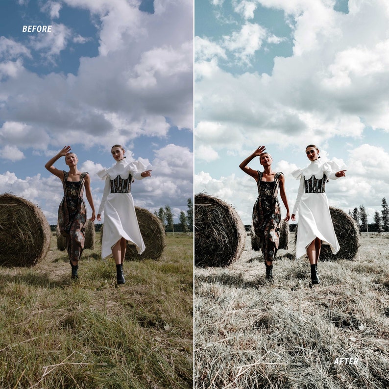 fashion Luts for video