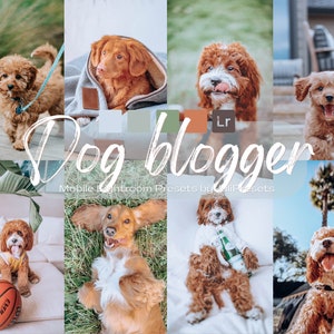 5 gotowych ustawień Lightroom dla Dog Blogger Mobile