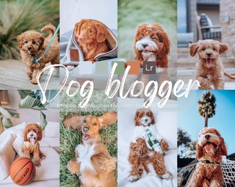 5 ajustes preestablecidos de Lightroom móvil para Dog Blogger