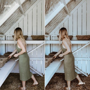 Rustic video filter