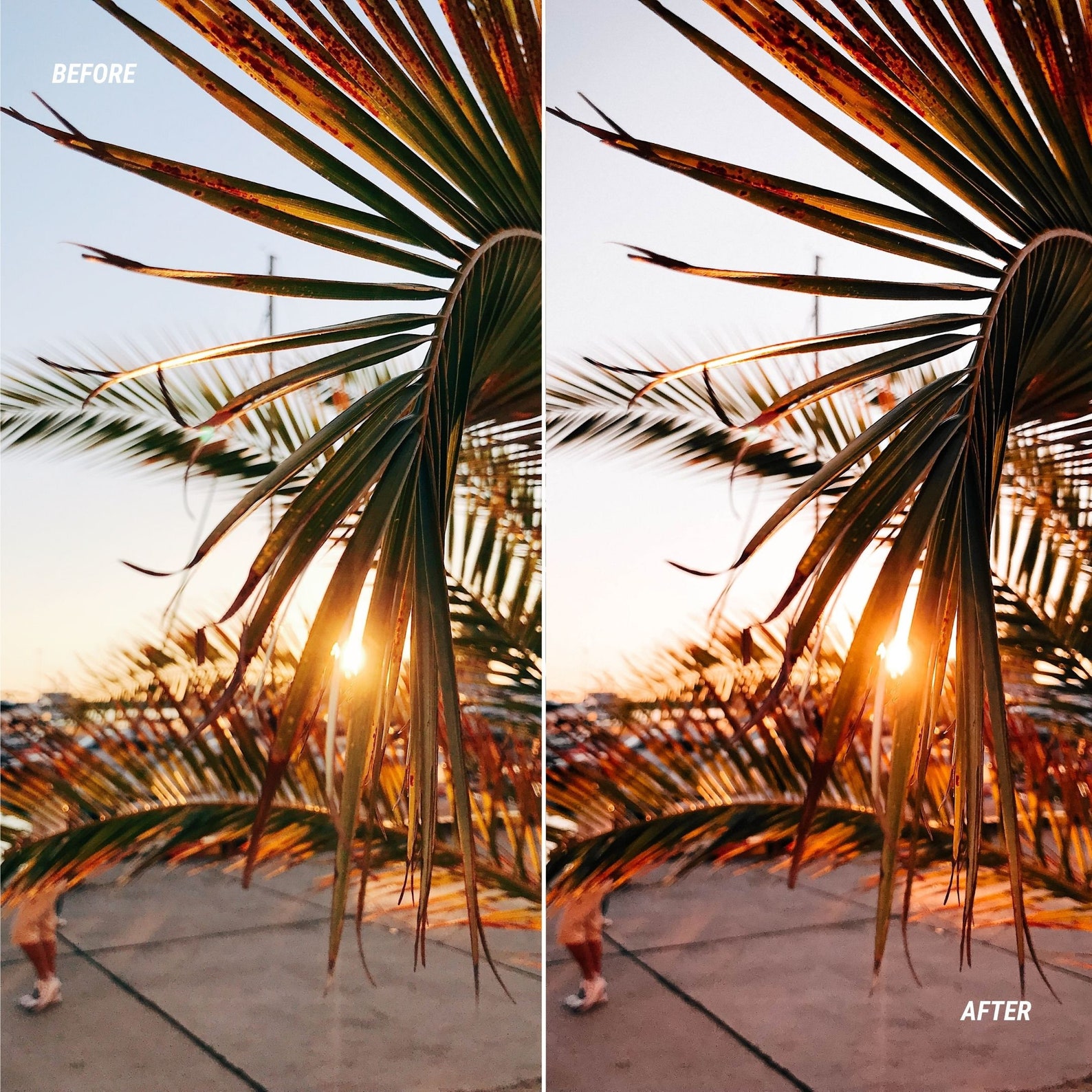 Cinematic Film Luts for Color Grading Video and Photo, Adobe After ...