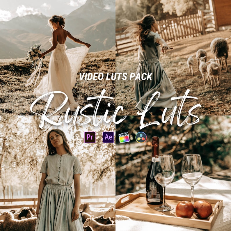 Rustic Video Luts