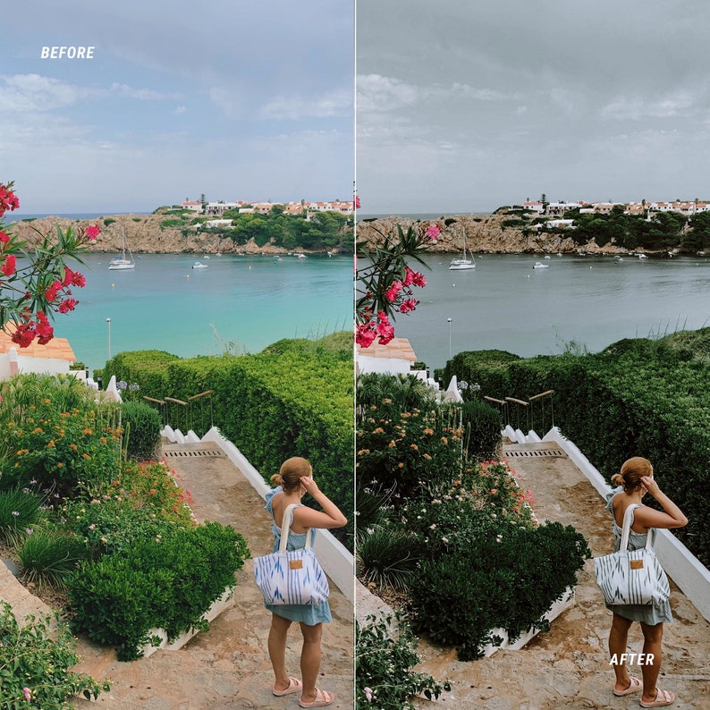 Instagram luts for mobile video