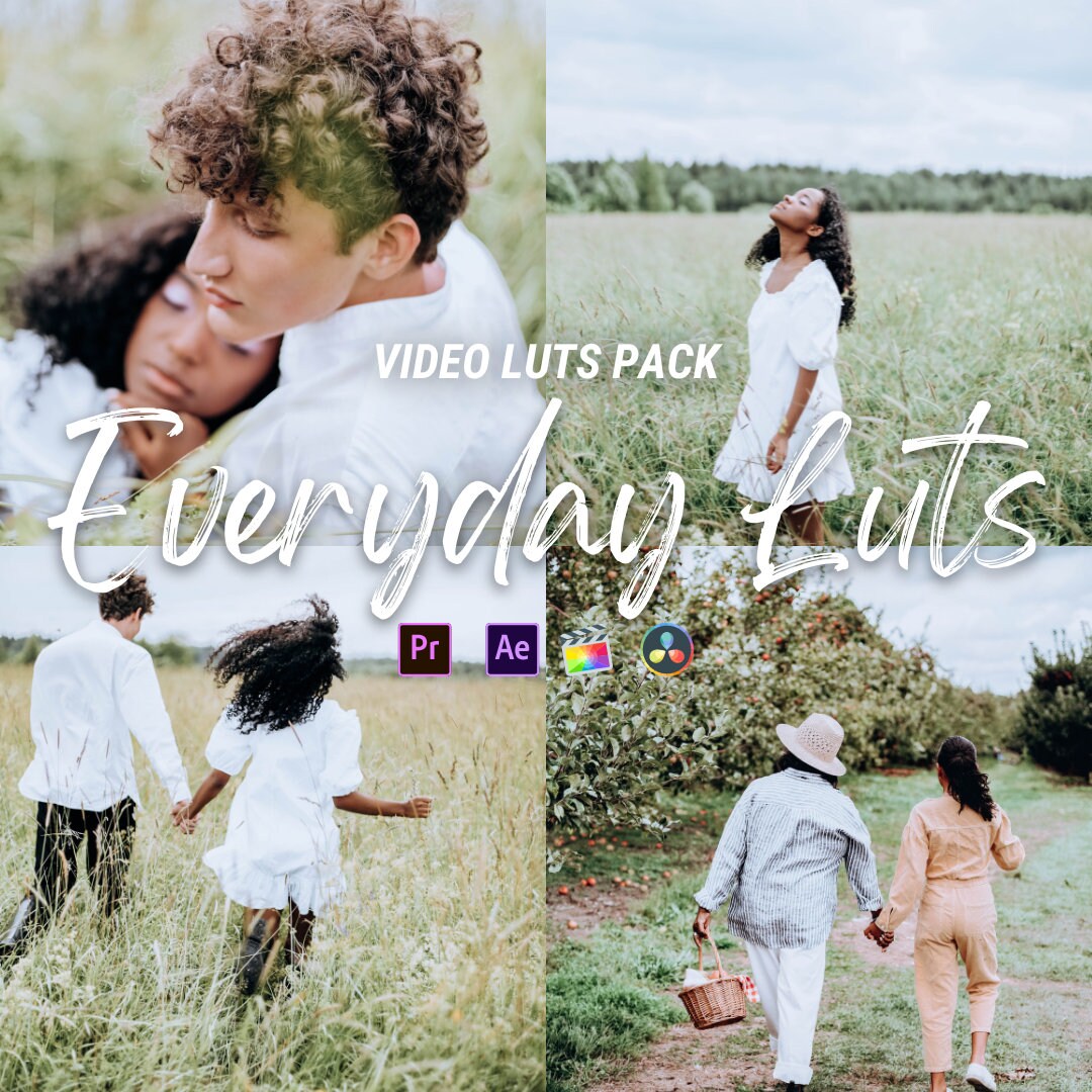 Everyday vibes Video Editing LUTs | Adobe Premiere Pro LUTs Pack, LUTs for Final Cut Pro, Video Presets for DaVinci Resolve Vlog LUTs