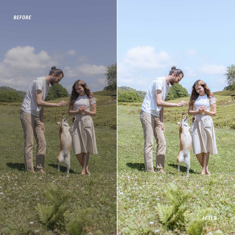 family with dog presets