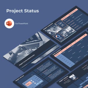 Project Status | PM Management Report | Website Project Report | PPT PowerPoint Presentation Template