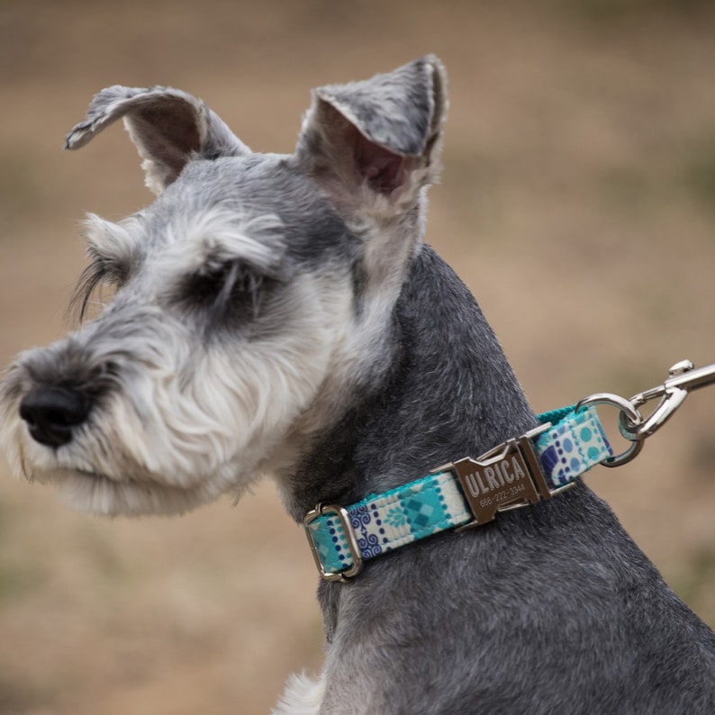 Personalized Dog Collar Engrave Pet ID Collar for Dog Dog Leash Custom Engrave Buckle Dog Collar With Leash Set Custom Dog Collars