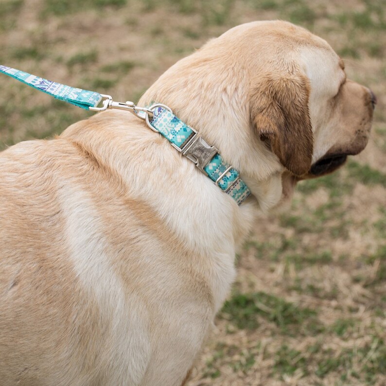Personalized Dog Collar Engrave Pet ID Collar for Dog Dog Leash Custom Engrave Buckle Dog Collar With Leash Set Custom Dog Collars