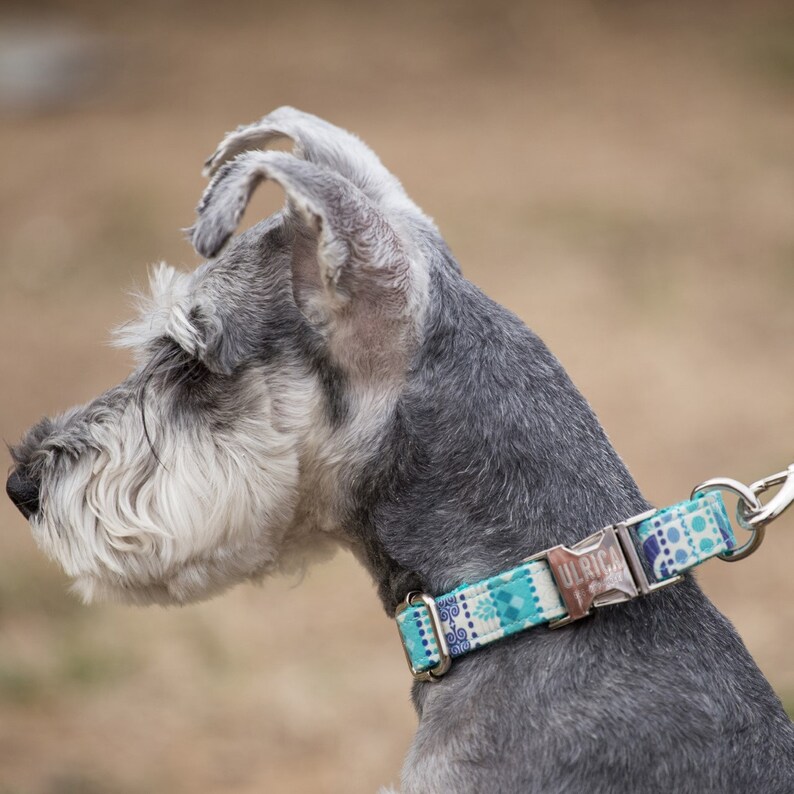 Personalized Dog Collar Engrave Pet ID Collar for Dog Dog Leash Custom Engrave Buckle Dog Collar With Leash Set Custom Dog Collars
