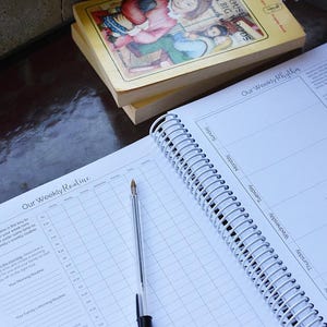 Puede incluir: Planificador abierto con espiral con un dise&ntilde;o de rutina semanal, un bol&iacute;grafo y una pila de libros. Las p&aacute;ginas del planificador son blancas con una cuadr&iacute;cula para la programaci&oacute;n. Los libros tienen p&aacute;ginas amarillentas e ilustraciones coloridas en la portada.
