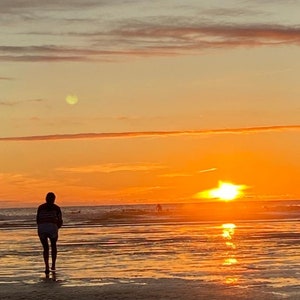 さまざまな写真入りグリーティング カード。中身は空白またはパーソナライズされています。