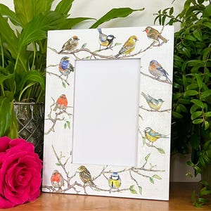 British bird decoupaged photo frame, wildlife picture frame, shabby chic home decor