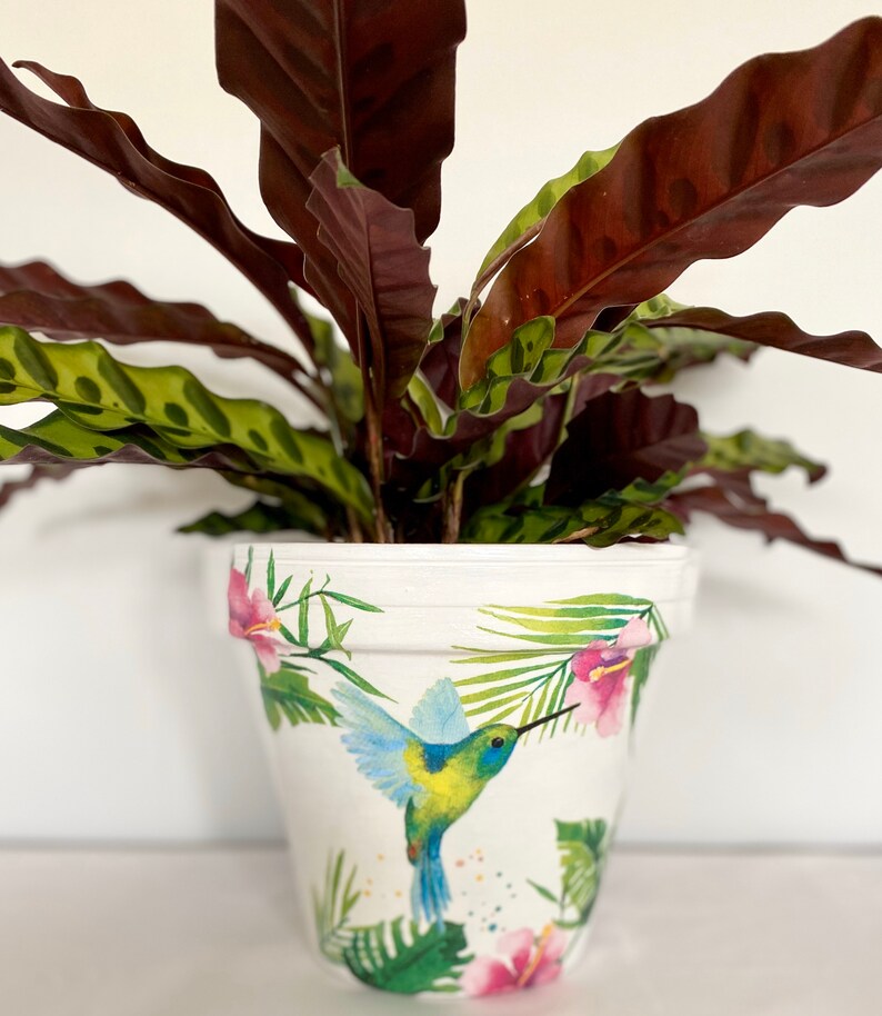 Hummingbird Decoupaged Flower Pot Tropical Bird Garden Planter Etsy