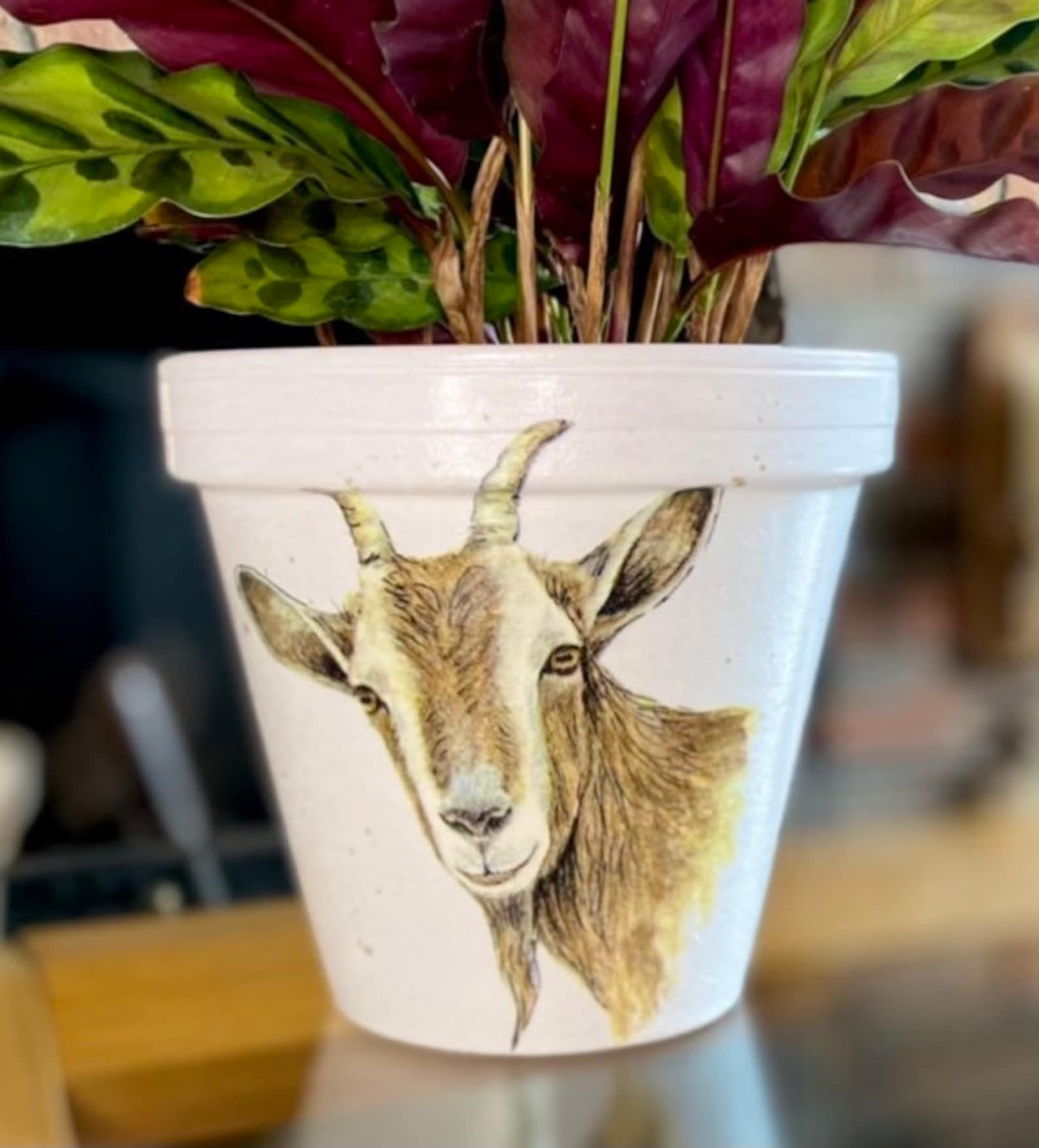 Goat decoupaged plant pot farm animal planter goat home Etsy