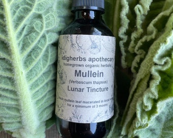 Mullein Leaf Lunar Tincture Organic Herbal Remedy Verbascum Thapsus Lung Health Homegrown