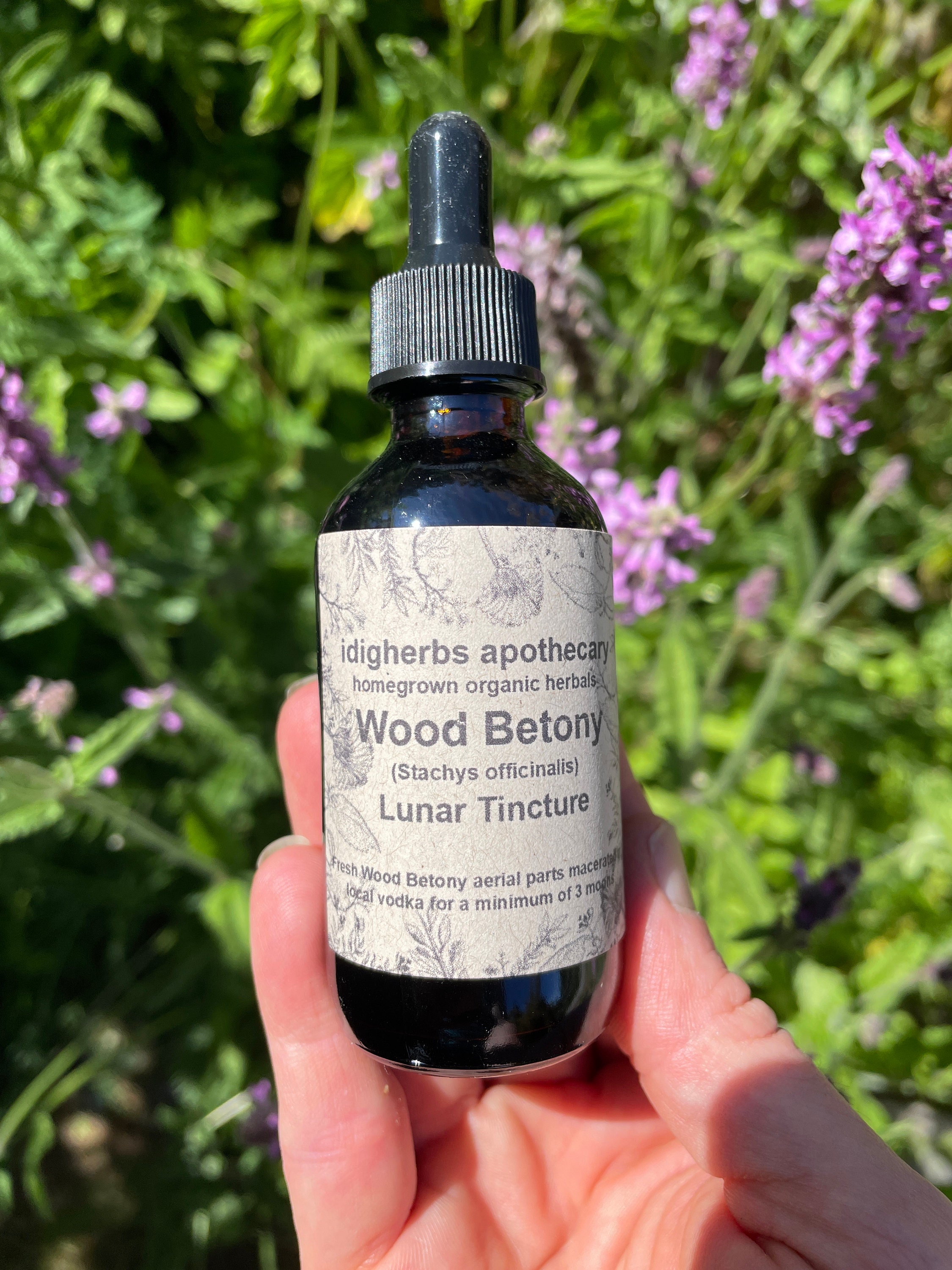 Wood Betony Tincture Organic Lunar Tincture Natural Health Herbal ...