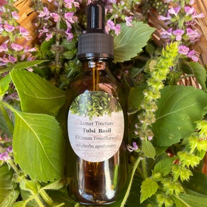 Tulsi Holy Basil Lunar Tincture 2 oz Herbal Remedy Ocimum Tenuiflorum Organic Tincture Homegrown