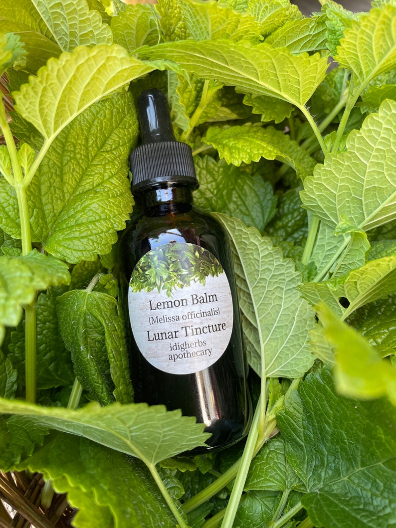 K&ouml;nnte beinhalten: Eine dunkle Glasflasche mit Tropfer, gef&uuml;llt mit einem Zitronenmelissen-Tinkturen. Das Etikett lautet "Lemon Balm (Melissa officinalis) Lunar Tincture idigハーブ apothecary". Die Flasche ist von gr&uuml;nen Bl&auml;ttern umgeben.