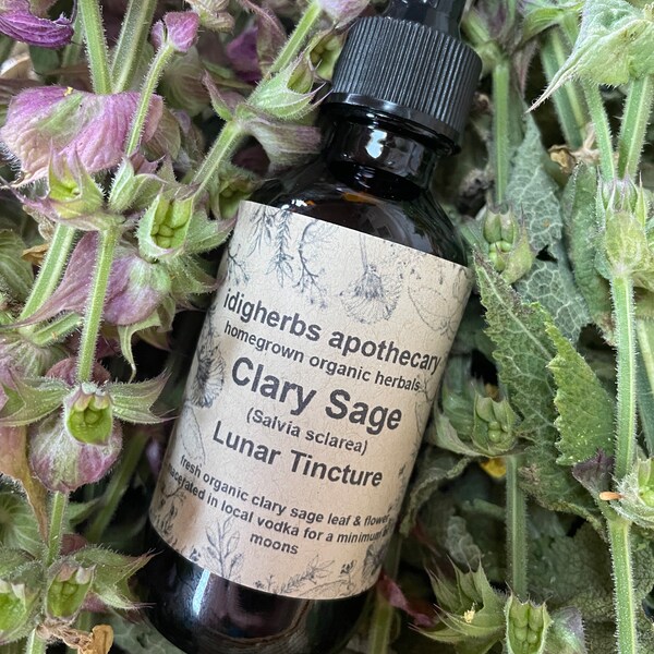 Clary Sage Tincture Organic Lunar Tincture Natural Health Herbal Remedy Homegrown Salvia sclarea PMS Womens health