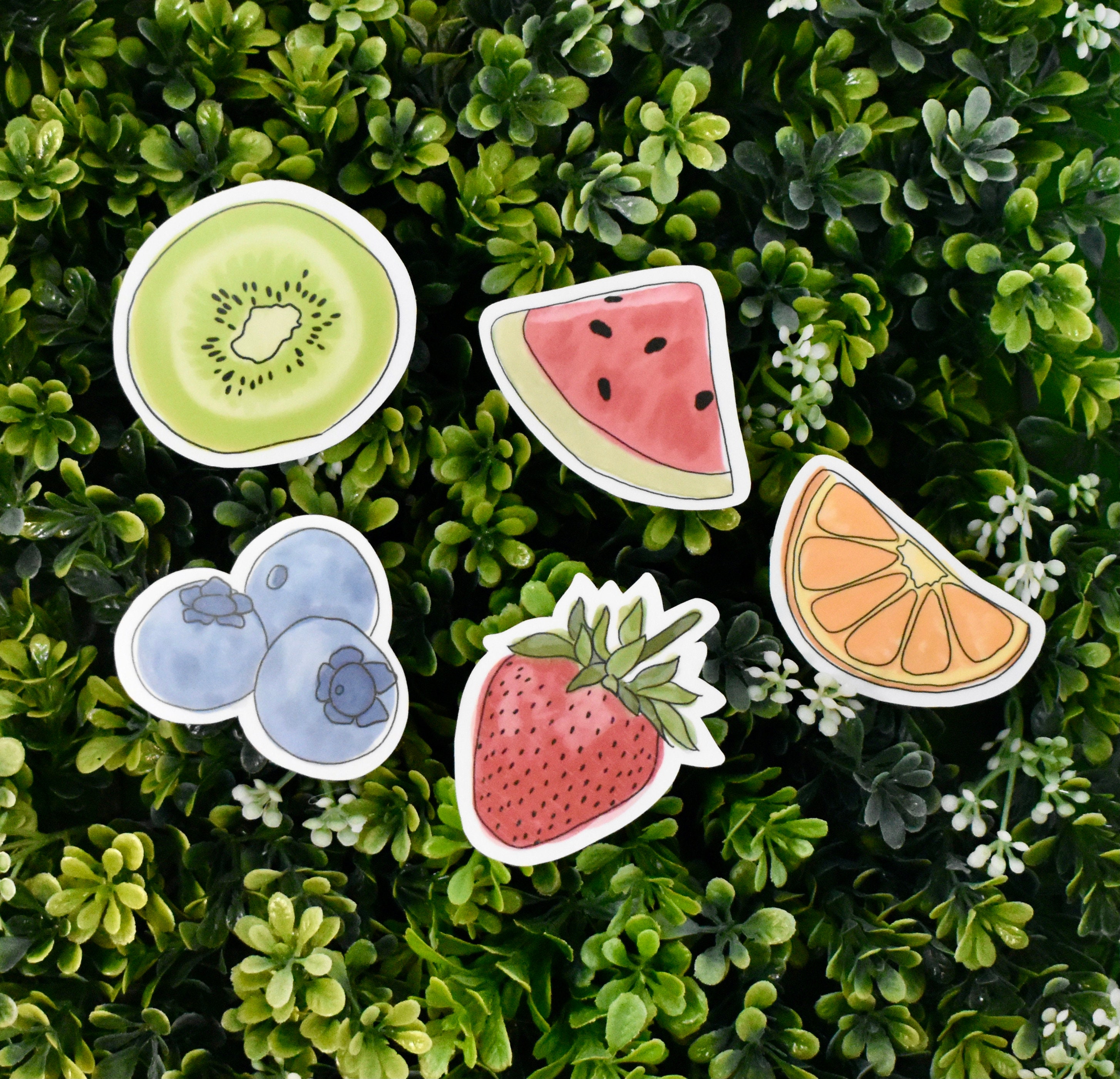 Waterproof Sticker Dishwasher Safe Sticker Watercolor Kiwi Matte Vinyl Sticker Water Bottle